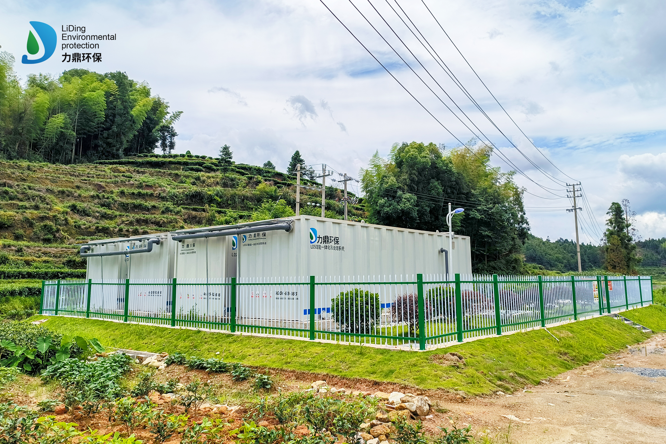 力鼎藍鯨—福建福鼎管陽鎮西陽村1